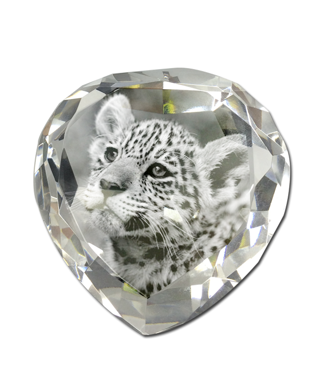พิมพ์รูป คริสตัล The tiger Crystal